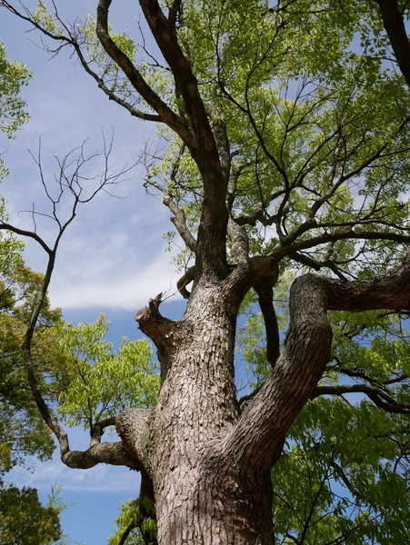 f:id:gzutetsu:20200419140545j:image
