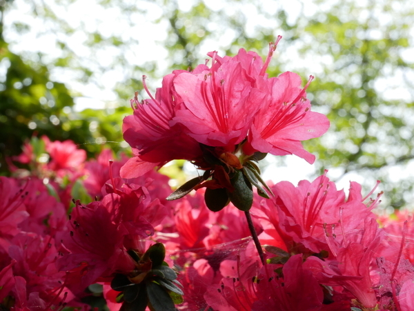 f:id:gzutetsu:20200429144252j:image