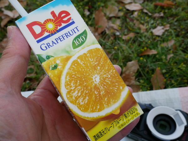 f:id:gzutetsu:20200429144949j:image