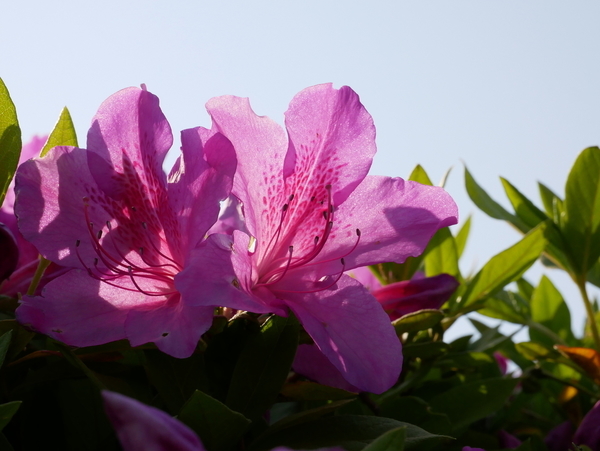 f:id:gzutetsu:20200429155006j:image