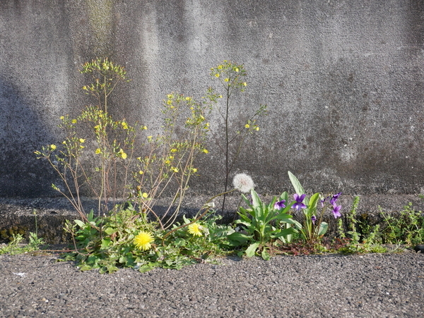 f:id:gzutetsu:20200429163627j:image