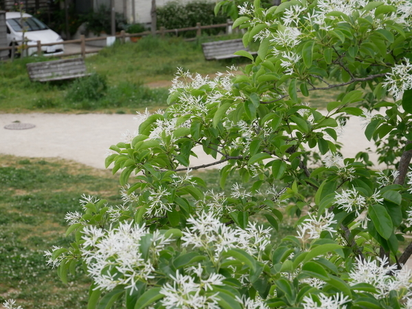 f:id:gzutetsu:20200503155451j:image