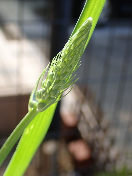 f:id:gzutetsu:20200605080018j:image