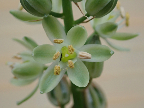 f:id:gzutetsu:20200705114618j:image