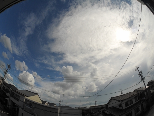 f:id:gzutetsu:20200906140648j:image f:id:gzutetsu:20200906140648j:image