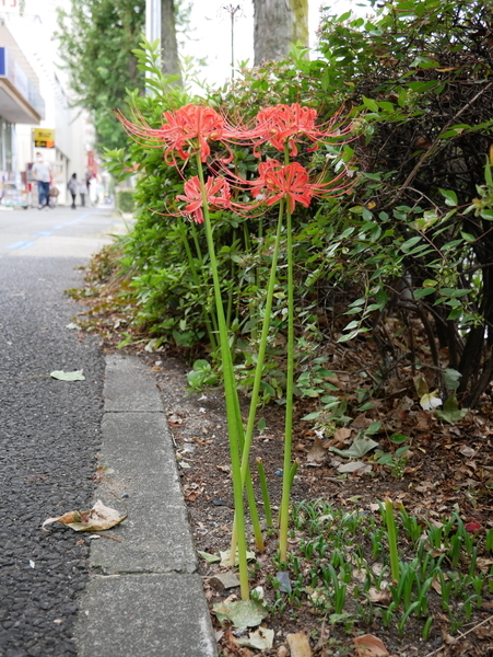 f:id:gzutetsu:20201003133839j:image