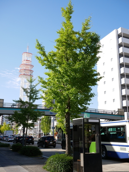 f:id:gzutetsu:20201013083700j:image