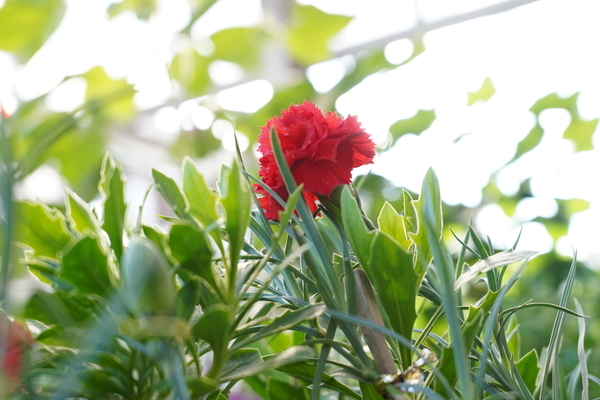 f:id:gzutetsu:20201024140215j:image