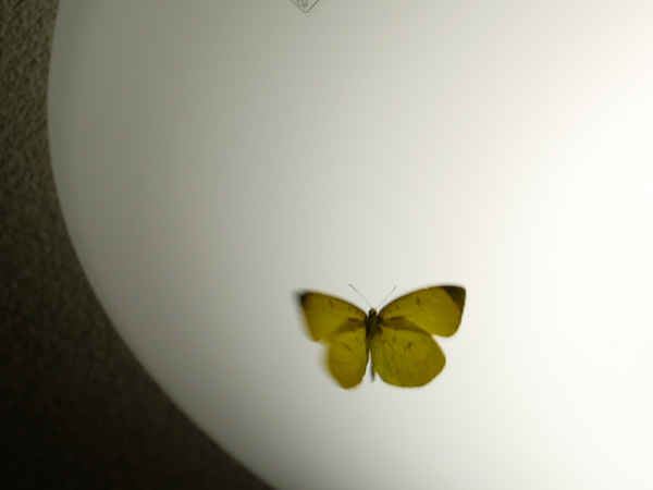 f:id:gzutetsu:20201024172434j:image