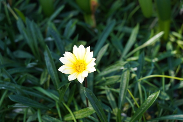 f:id:gzutetsu:20201031120539j:image
