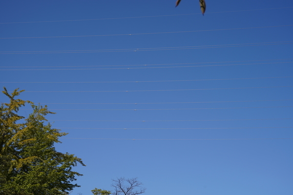 f:id:gzutetsu:20201031123259j:image