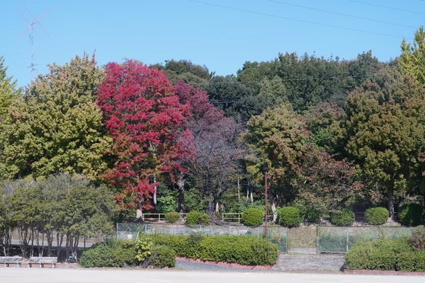 f:id:gzutetsu:20201031123722j:image