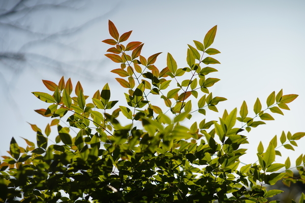 f:id:gzutetsu:20201031140042j:image