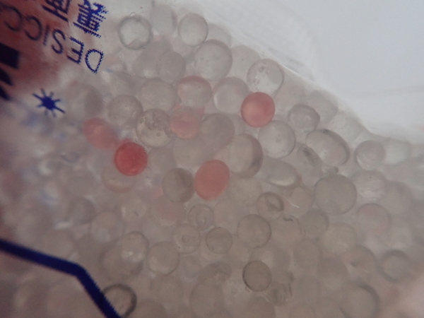 f:id:gzutetsu:20201103123932j:image