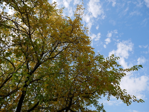 f:id:gzutetsu:20201108132743j:image