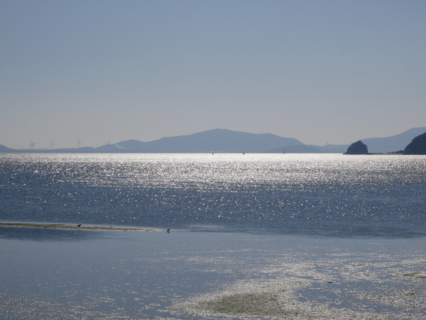 f:id:gzutetsu:20201114111621j:image
