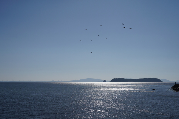 f:id:gzutetsu:20201114112254j:image