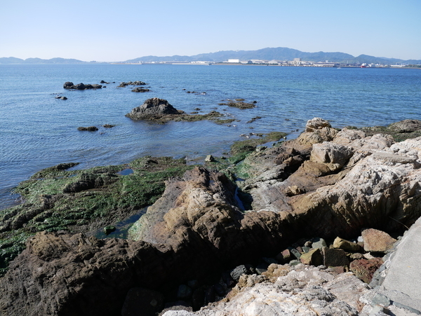 f:id:gzutetsu:20201114114031j:image