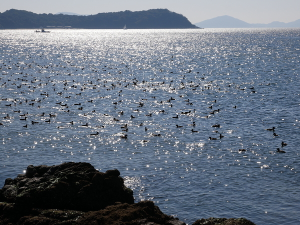 f:id:gzutetsu:20201114114147j:image