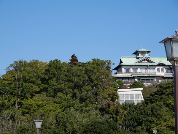 f:id:gzutetsu:20201114121922j:image