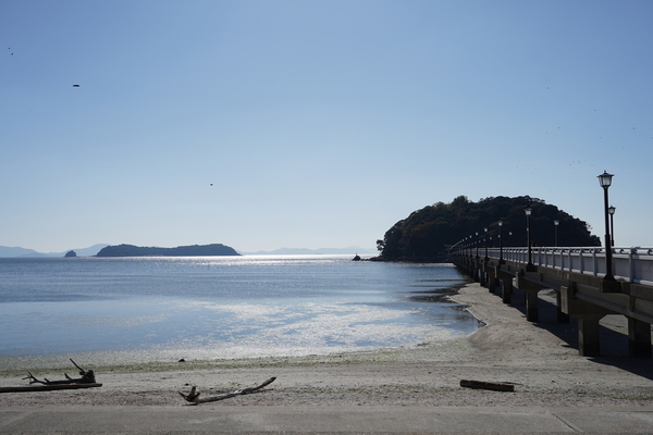 f:id:gzutetsu:20201114122340j:image