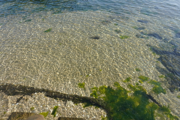 f:id:gzutetsu:20201115094829j:image