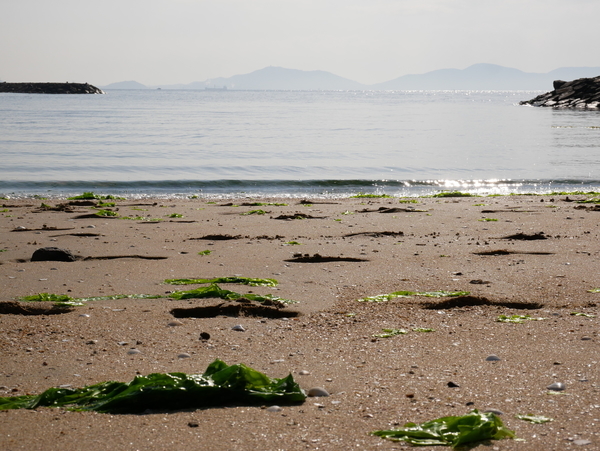 f:id:gzutetsu:20201115095303j:image
