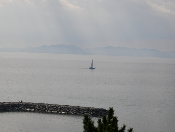 f:id:gzutetsu:20201115101413j:image