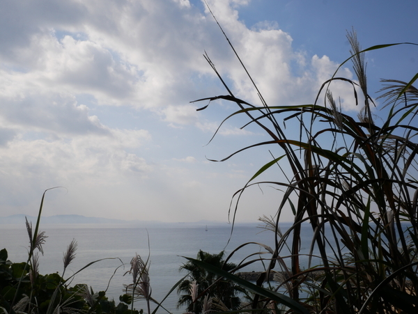 f:id:gzutetsu:20201115101717j:image