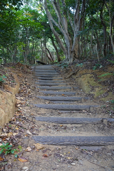 f:id:gzutetsu:20201115102310j:image
