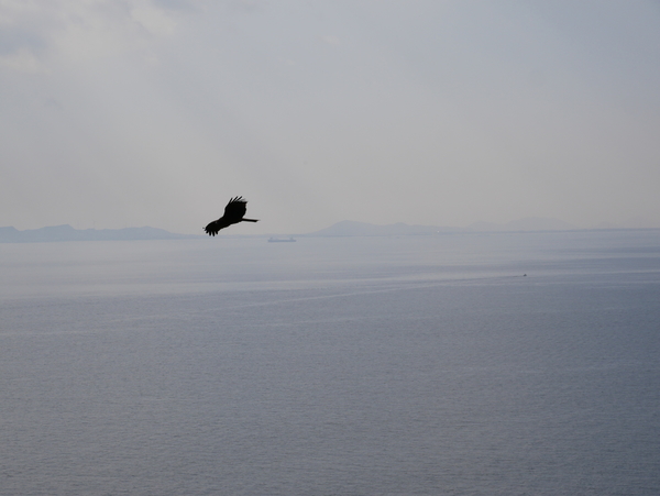 f:id:gzutetsu:20201115104636j:image