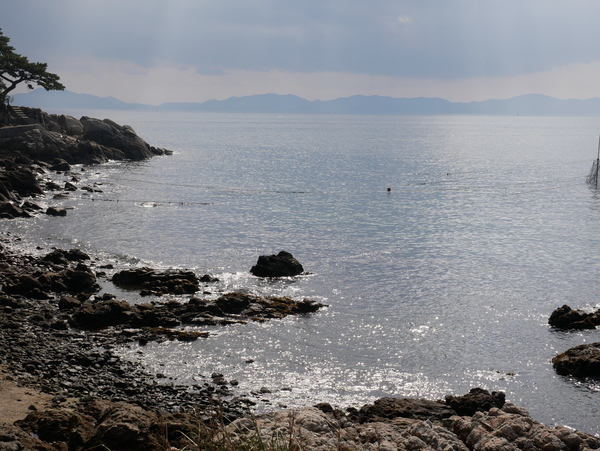 f:id:gzutetsu:20201115112840j:image