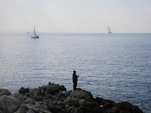 f:id:gzutetsu:20201115113105j:image