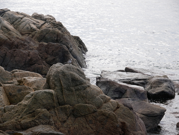 f:id:gzutetsu:20201115121943j:image