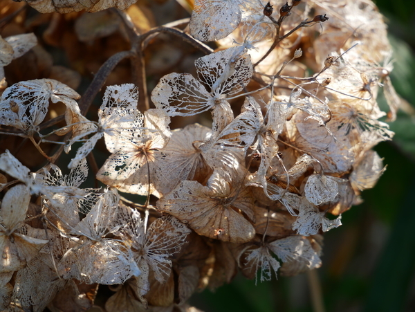 f:id:gzutetsu:20201115143349j:image