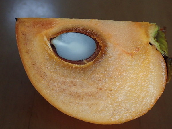 f:id:gzutetsu:20201121082311j:image