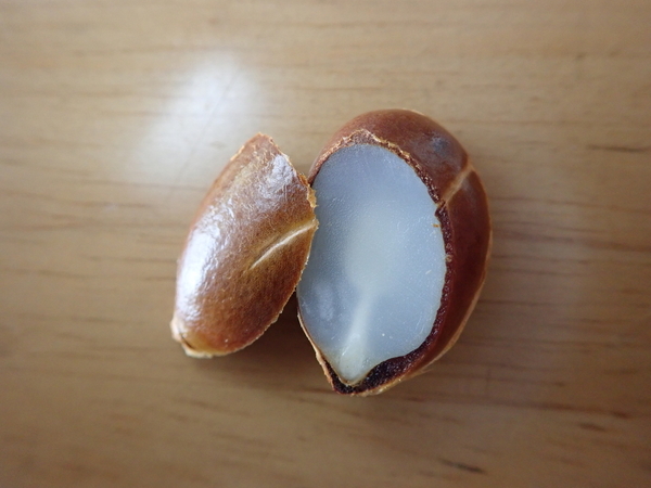 f:id:gzutetsu:20201121083304j:image