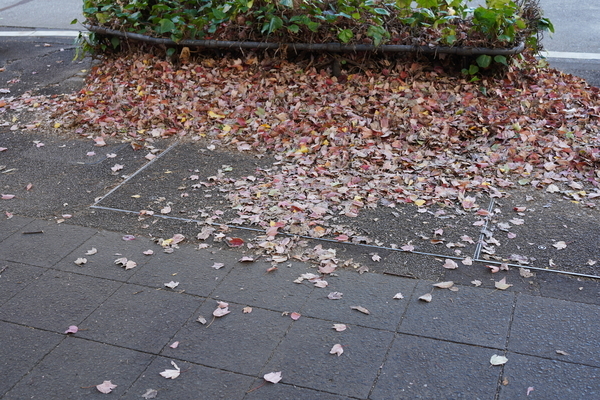 f:id:gzutetsu:20201124082738j:image