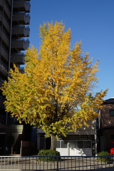f:id:gzutetsu:20201124082804j:image