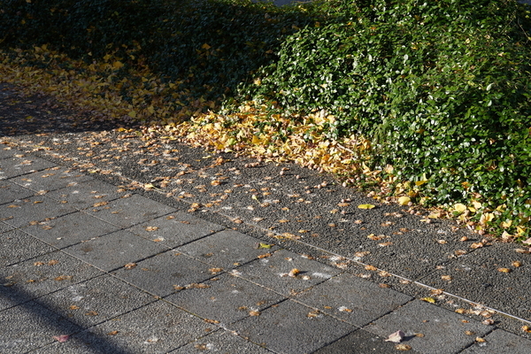 f:id:gzutetsu:20201124082825j:image