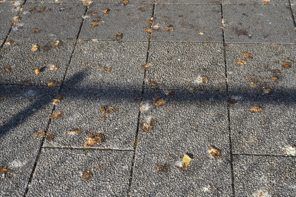 f:id:gzutetsu:20201124082830j:image