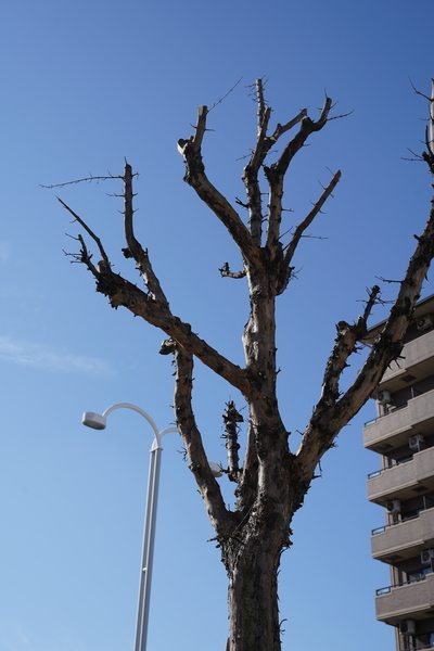 f:id:gzutetsu:20201126105534j:image