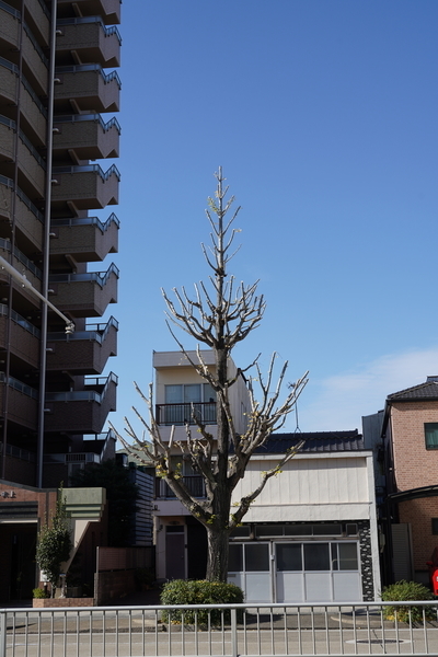 f:id:gzutetsu:20201126105830j:image