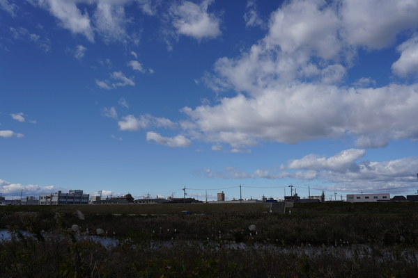 f:id:gzutetsu:20201128123947j:image