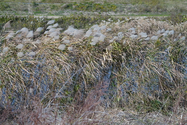 f:id:gzutetsu:20201128133037j:image