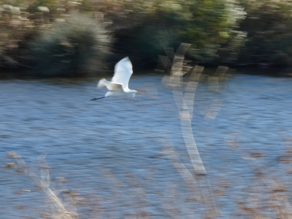 f:id:gzutetsu:20201128140442j:image