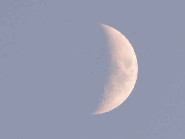 f:id:gzutetsu:20201220165631j:image