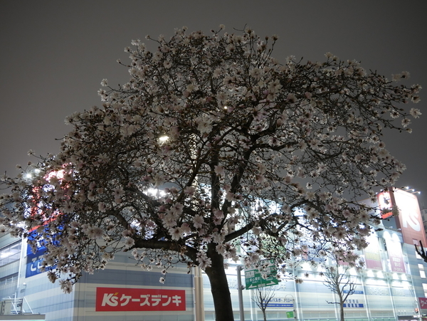 f:id:gzutetsu:20210316193911j:image