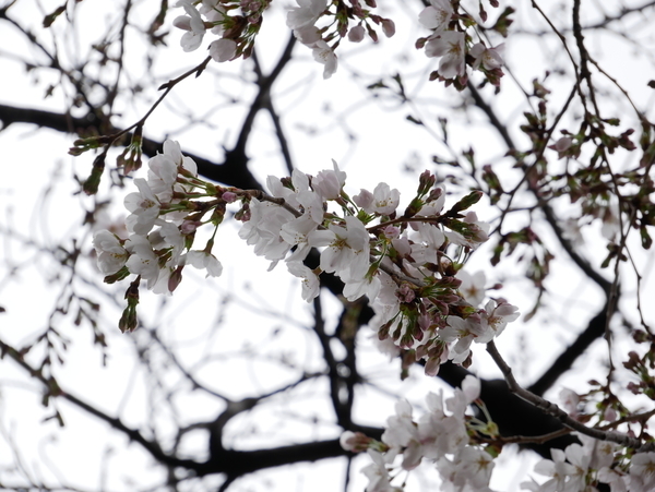f:id:gzutetsu:20210321131624j:image