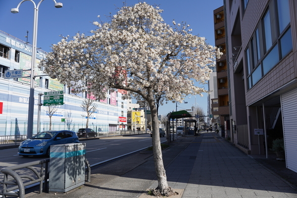 f:id:gzutetsu:20210323083423j:image